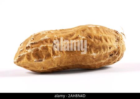US American peanut in the shell, roasted. Macro, close-up image. Single groundnut isolated against white background. Stock Photo
