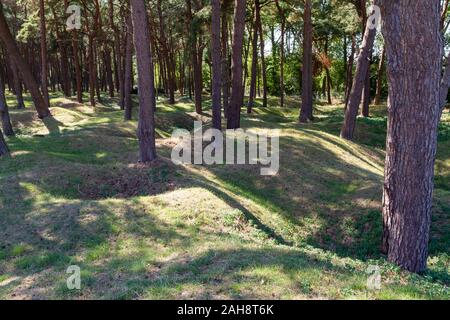 Fields pocked with craters and full of unexploded bombs from WWI near the Canadian National Vimy Memorial (First World War Memorial) near Arras. Stock Photo