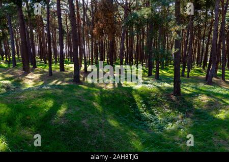 Fields pocked with craters and full of unexploded bombs from WWI near the Canadian National Vimy Memorial (First World War Memorial) near Arras. Stock Photo