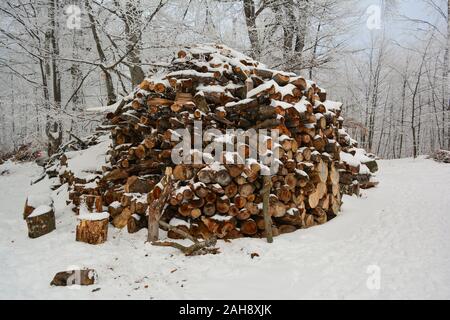 Big pile of beech firewood covered by snow  and hoarfrost in white wintertime forest Stock Photo