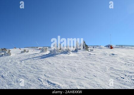 Mountain ski resort Kopaonik, Serbia, ski slopes, a few spruce trees covered by hoarfrost and ice, security wooden fence, a few ramps, ski tracs and c Stock Photo