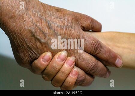 The process of aging of human skin - wrinkled hands of a very old man who lived 90-100 years with dry skin covered with wrinkles and spots Stock Photo