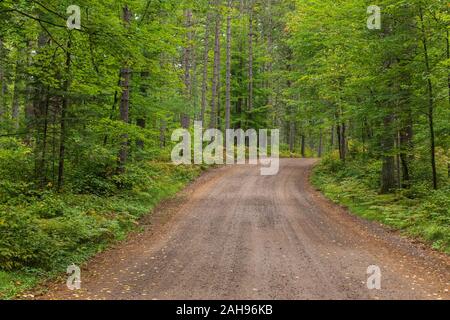 A scenic road in the Chequamegon National Forest in northern Wisconsin. Stock Photo