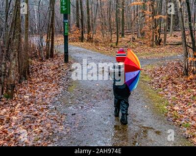 A young child, a boy of about 5 years of age, walks down a nature trail on a rainy day. He is dressed in warm winter clothing and carries a colorful u Stock Photo