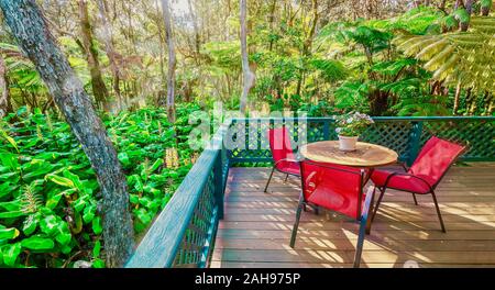 A backyard deck set in a Hawaiian rainforest, surrounded by tree ferns and an invasive introduced species, the kahili ginger (Hedychium gardnerianum). Stock Photo