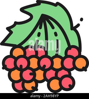 Vector viburnum, guelder rose berries flat color line icon. Stock Vector