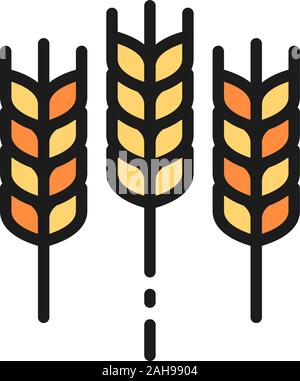 Wheat ear, grain flat color line icon. Isolated on white background Stock Vector