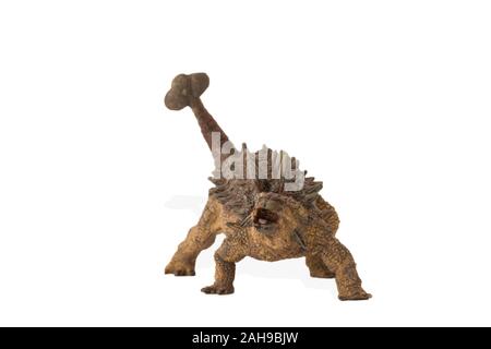 Ankylosaurus isolated on white background. Frontal view. Ankylosaurus is an herbivore dinosaur lived in cretaceous era. Image ideal for scientific boo Stock Photo