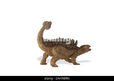 Ankylosaurus isolated on white background. Lateral view.Ankylosaurus is an herbivore dinosaur lived in cretaceous era. Image ideal for scientific book Stock Photo