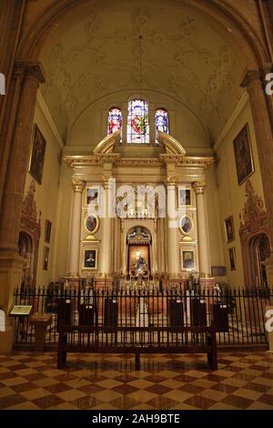 Chapel of the Virgin of the Pillar at the Cathedral of Our Lady of Incarnation 'the Cathedral' in the city centre Malaga Costa del Sol Andalucia Spain Stock Photo