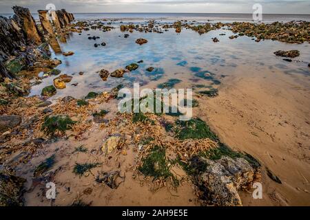 Rocks covered in seaweed in a shallow rockpool on a sandy beach on the Norfolk Coast Stock Photo