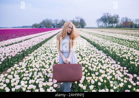 Beautiful young woman with long red hair wearing in white dress standing with luggage on colorful tulip field. Happy blond girl holding old vintage su Stock Photo