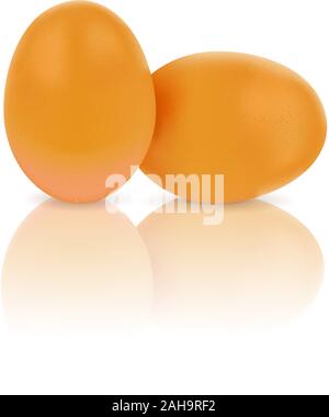 Chicken eggs on white background with reflection. Vector illustration. Stock Vector