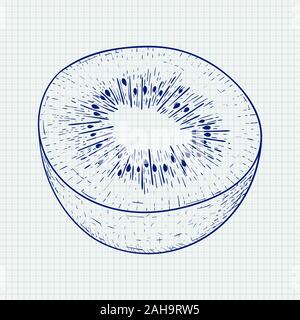 Kiwi. Hand drawn sketch on notebook sheet background Stock Vector