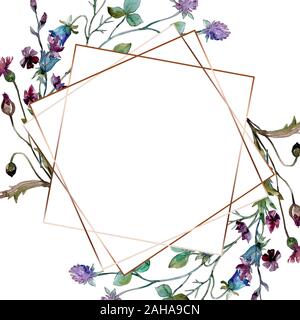 Wildflowers floral botanical flowers. Wild spring leaf wildflower isolated.  Watercolor background illustration set. Watercolour drawing fashion aquare  Stock Photo - Alamy