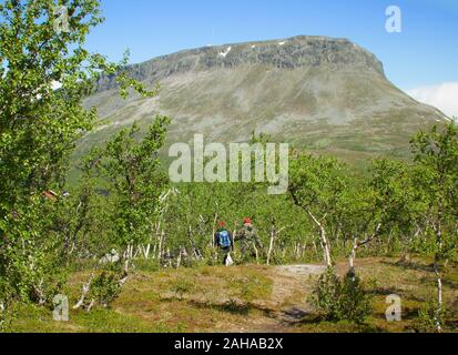Two hikers going to the Saana fells in Kilpisjarvi, Finnish Lapland, Finland. Sunny summer scene with dwarf birches and beautiful mountain view. Stock Photo