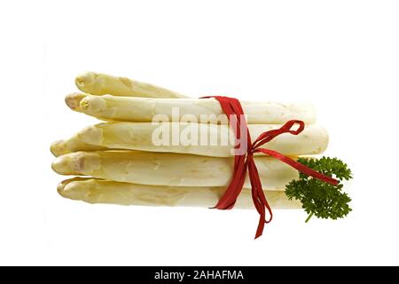 Ein Bund frischer weisser Spargel, Freisteller, Stock Photo