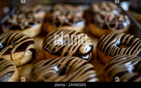 Chocolate covered vegan donuts on a tray. Stock Photo