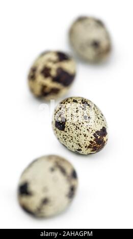 Quail Eggs as detailed close-up shot isolated on white background (selective focus) Stock Photo