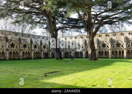 The ornate architecture of the arcaded gothic cloisters, Salisbury Cathedral cloister garden, Wiltshire, England, UK Stock Photo