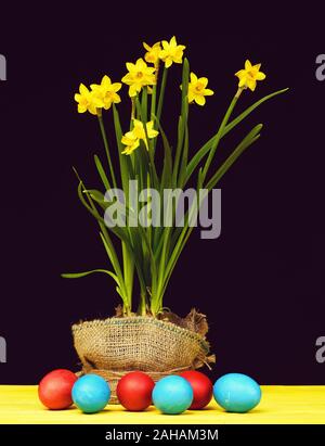 Daffodils in yellow colour wrapped with sackcloth and bicolor painted eggs lying near flower pot wrapped with sackcloth on wooden yellow table isolated on black background. Happy Easter day Stock Photo
