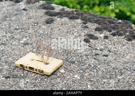 A cream vintage cassette tape from the 1980s era (obsolete music technology) with the grass grew through Stock Photo