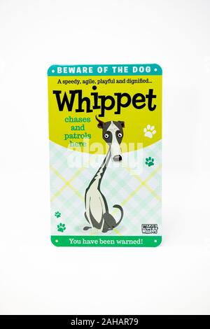Whippet, beware of the dog metal fun poster, Stock Photo