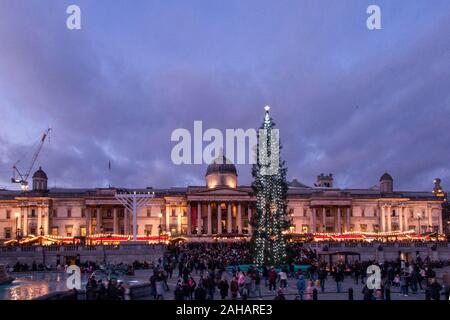 Late afternoon just before Christmas in Trafalgar Square, with the giant Norwegian Christmas tree gifted to the UK each year by Norway Stock Photo