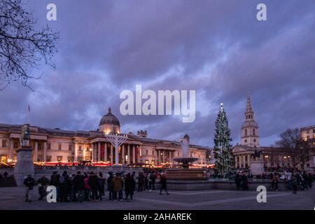 Late afternoon just before Christmas in Trafalgar Square, with the giant Norwegian Christmas tree gifted to the UK each year by Norway Stock Photo