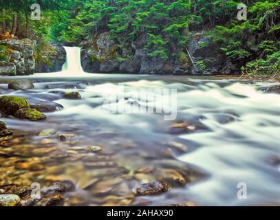 rapids below waterfall on granite creek in the cabinet mountains wilderness near libby, montana Stock Photo