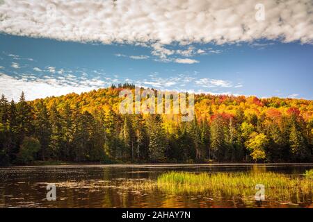 A calm river flows with colorful mountain forest foliage in the background. Stock Photo