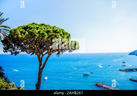 Ravello Amalfi coast aerial panoramic seascape view on green cedar crown and tyrrhenian sea. Stock Photo