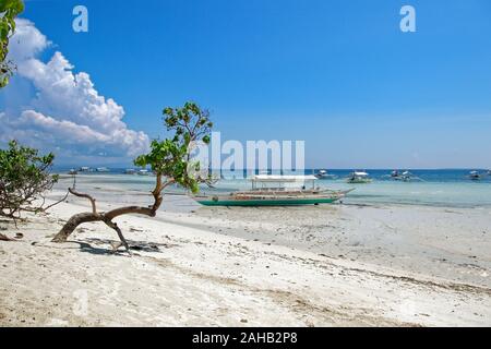 bent, soliter tree, growing on the edge of Mindanao sea, on Dumaluan beach on Panglao island, with boat in backround Stock Photo