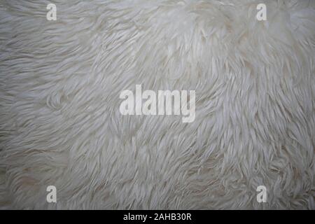 Here is a pillow with an animal like fur furry texture that is white Stock Photo