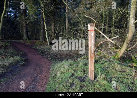 Marker for the Glen Trail in Blairadam Forest near Kelty in Fife, Scotland. Path to the left leading into dark forest. Stock Photo