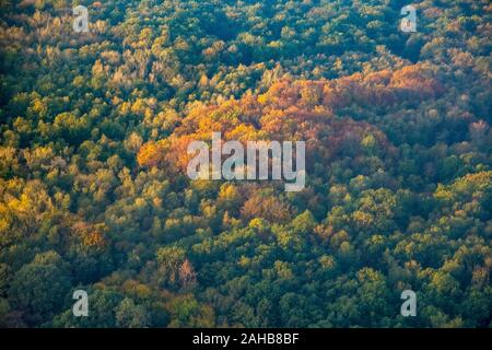 aerial photo, mixed forest, colourful autumn foliage in the morning, Hamm, Ruhr area, North Rhine-Westphalia, Germany, DE, Europe, birds-eyes view, ae Stock Photo