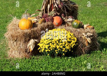 Pile of autumn products consisting of various pumpkins corn cobs and flowers put on hay bales surrounded with uncut grass on warm sunny autumn day Stock Photo