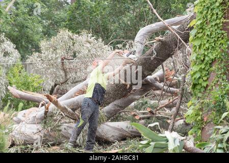 Sydney Aust Nov 26 2019: A sudden storm ripped through suburbs in northern Sydney snapping huge trees at their base. This is St Johns Church, Gordon Stock Photo