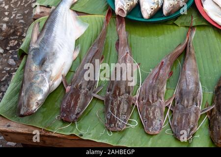 Market in Luang Prabang, Laos Stock Photo