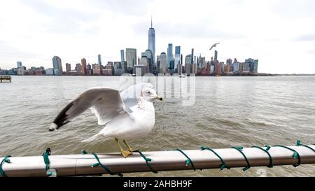 New York, USA,  27 December 2019.  Seagulls fly over the Hudson river against Lower Manhattan's skyline in New York City.   Credit: Enrique Shore/Alam Stock Photo