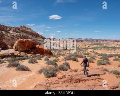 Rainbow Canyon VIsta on White Domes Scenic Byway at Valley of FIre State Park, Nevada, near Las Vegas, sunny spring day, USA Stock Photo