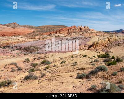 Rainbow Canyon VIsta on White Domes Scenic Byway at Valley of FIre State Park, Nevada, near Las Vegas, sunny spring day, USA Stock Photo