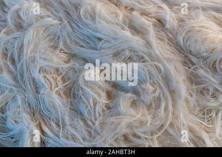 pulled strands of pişmaniye, a traditional Turkish sweet Stock Photo