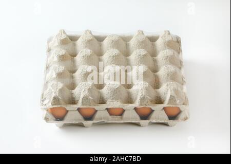 Twenty fresh brown eggs in a paper egg tray Stock Photo