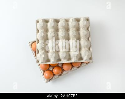 Twenty fresh brown eggs in a paper egg tray Stock Photo