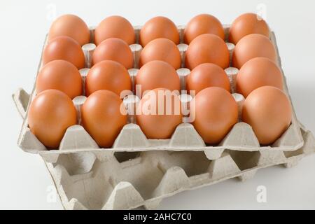 Twenty fresh brown eggs in a paper egg tray Stock Photo