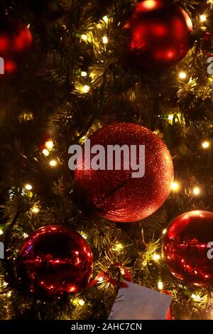 Traditional decorated baubles hangs on green twigs tree of pine. Bright red balls on Christmas tree of fir or spruce with string rice lights bulbs. Stock Photo