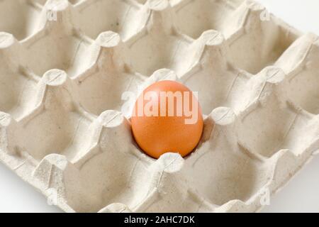One brown egg left in a twenty dimpled egg tray Stock Photo