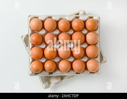 Twenty fresh brown eggs in a paper egg tray Stock Photo