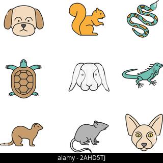 Pets color icons set. Maltese dog, squirrel, python, tortoise, rabbit, iguana, ferret, mouse, Canadian Sphynx. Isolated vector illustrations Stock Vector